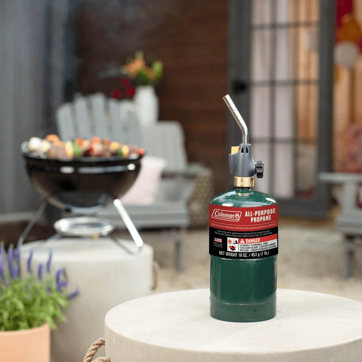 16 ounce 2-Pack Propane Gas Cylinder S50859