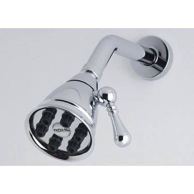 Polished Nickel Adjustable Showerhead I307