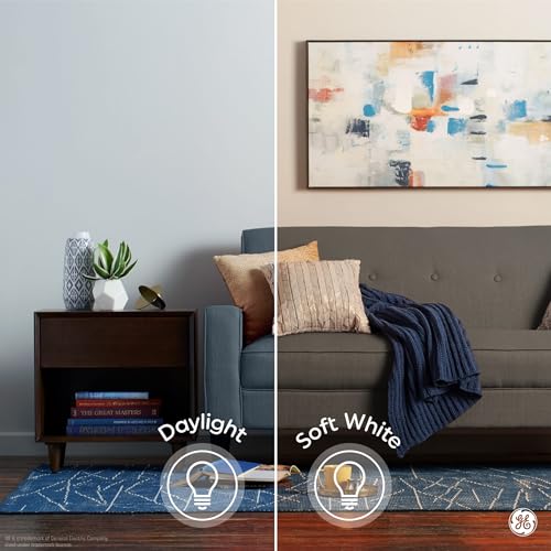 100 Watt Soft White A19 LED Light Bulbs (2 Pack) A8417