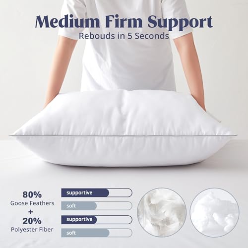 Set of 2 King Size Goose Feathers and Down White Pillows with Cotton Cover J69593