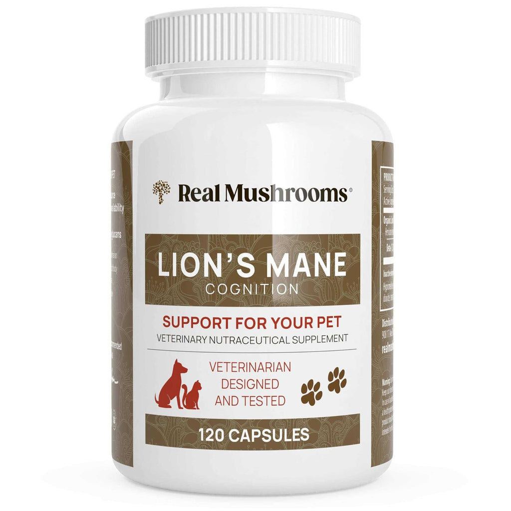 Lion’s Mane N458