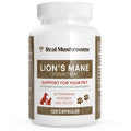 Lion’s Mane N458