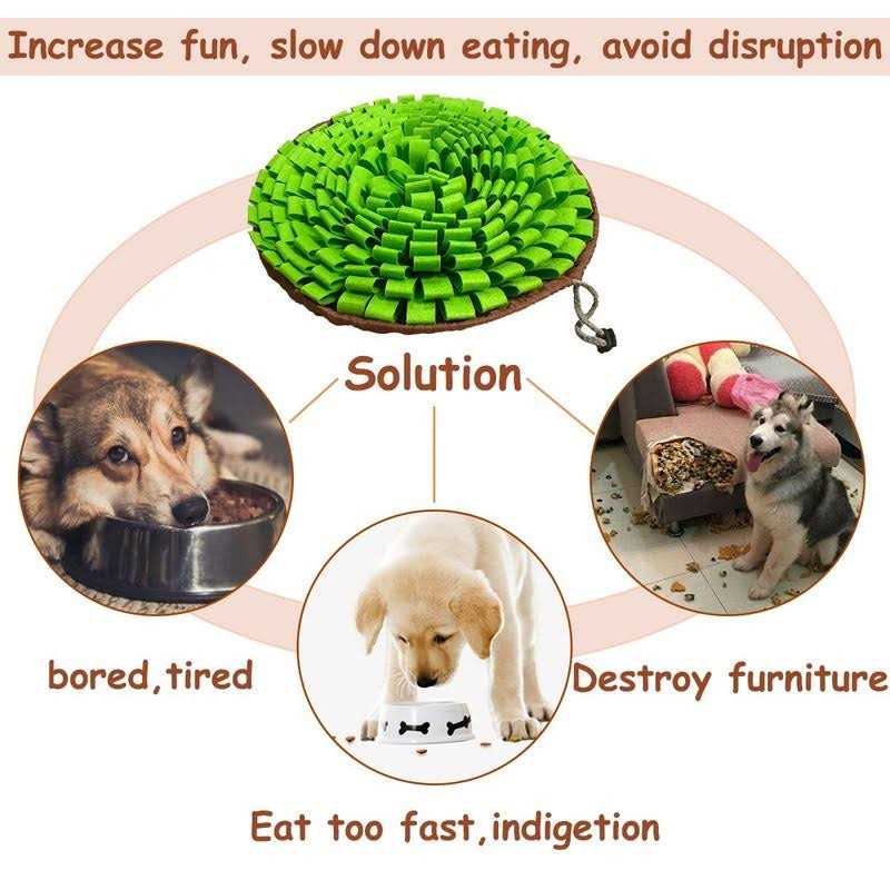 Pet Snuffle Mat N12674