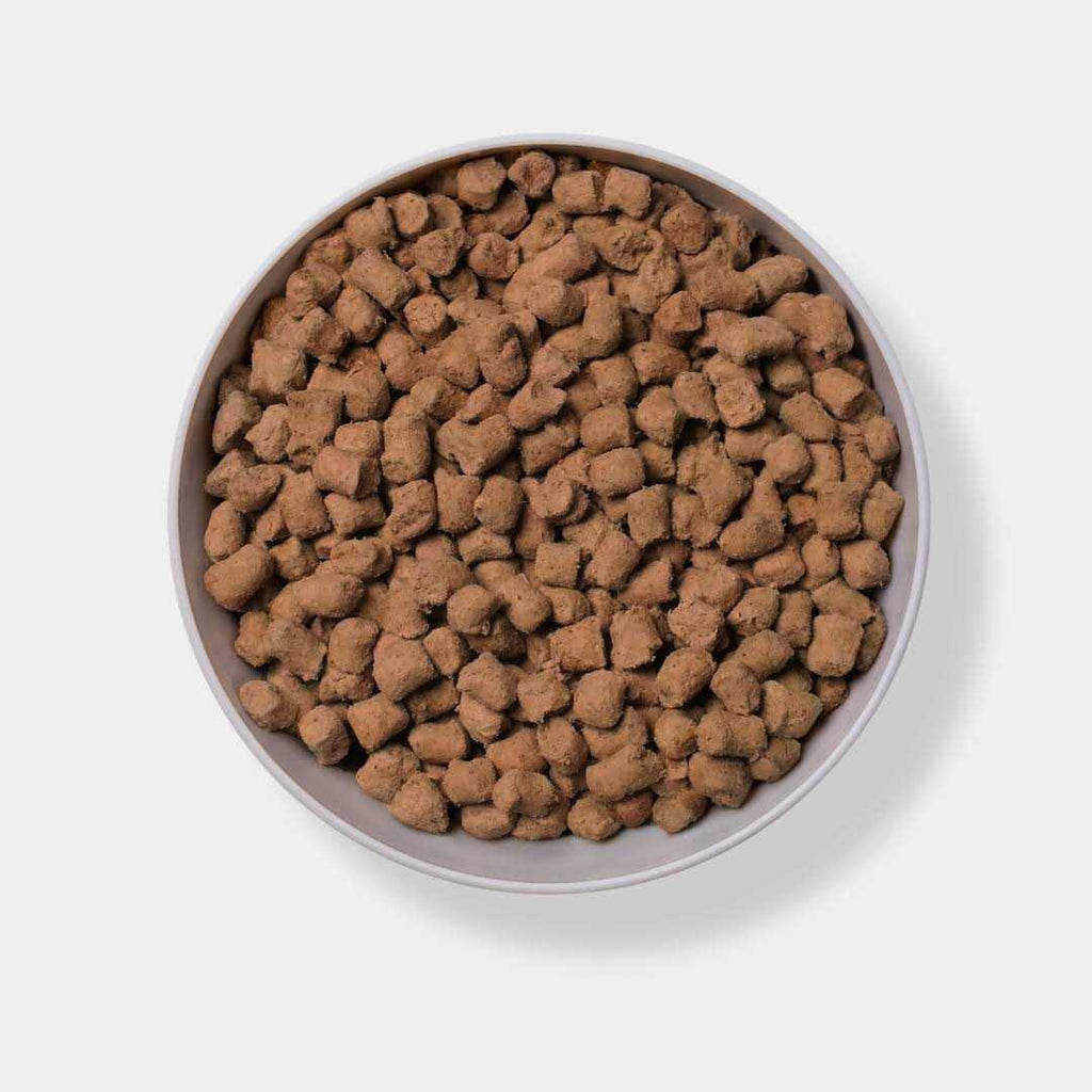 Freeze Dried Raw Beef Dog Food D817725