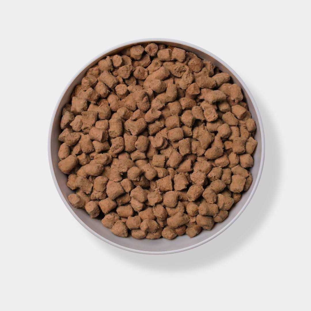 Freeze Dried Raw Beef Dog Food D817725