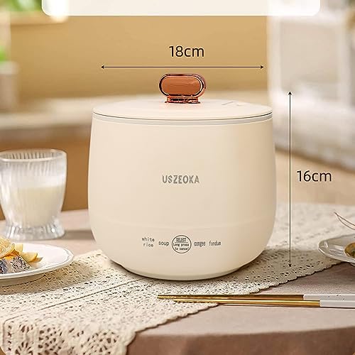 Blue Mini Stainless Steel Rice Cooker S60386