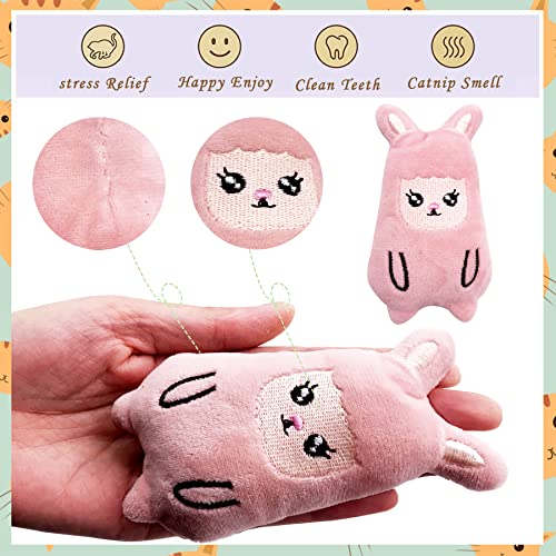 10 Pcs Christmas Catnip Plush Cat Toys T176