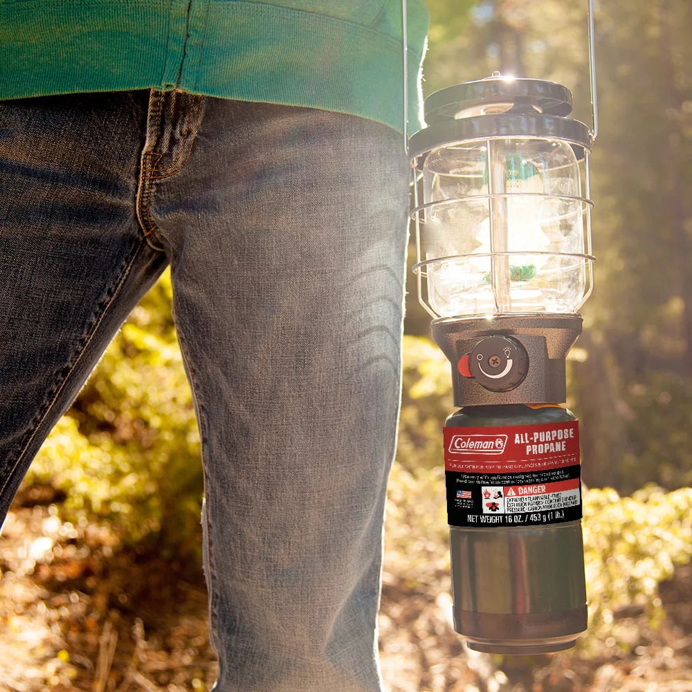 16 ounce 2-Pack Propane Gas Cylinder S50859