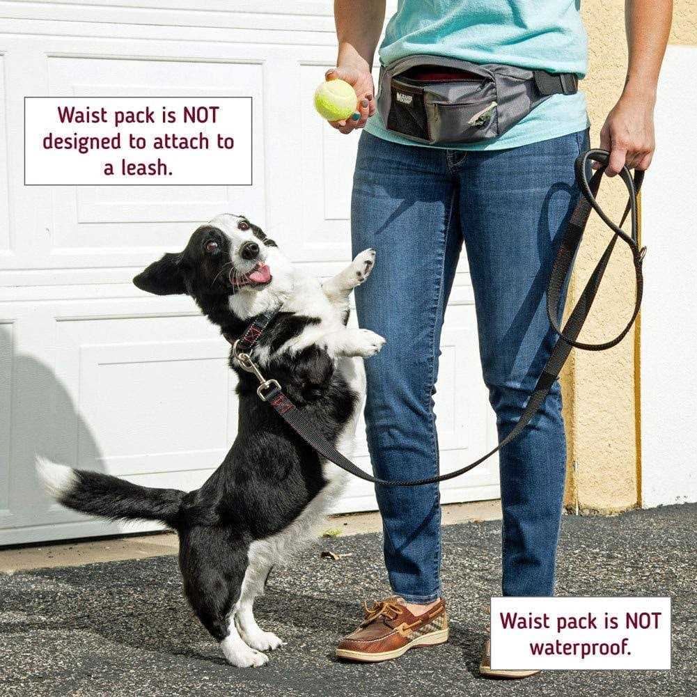 PackUp Pouch Dog Treat Training Pouch with Waste Bag Dispenser D13875