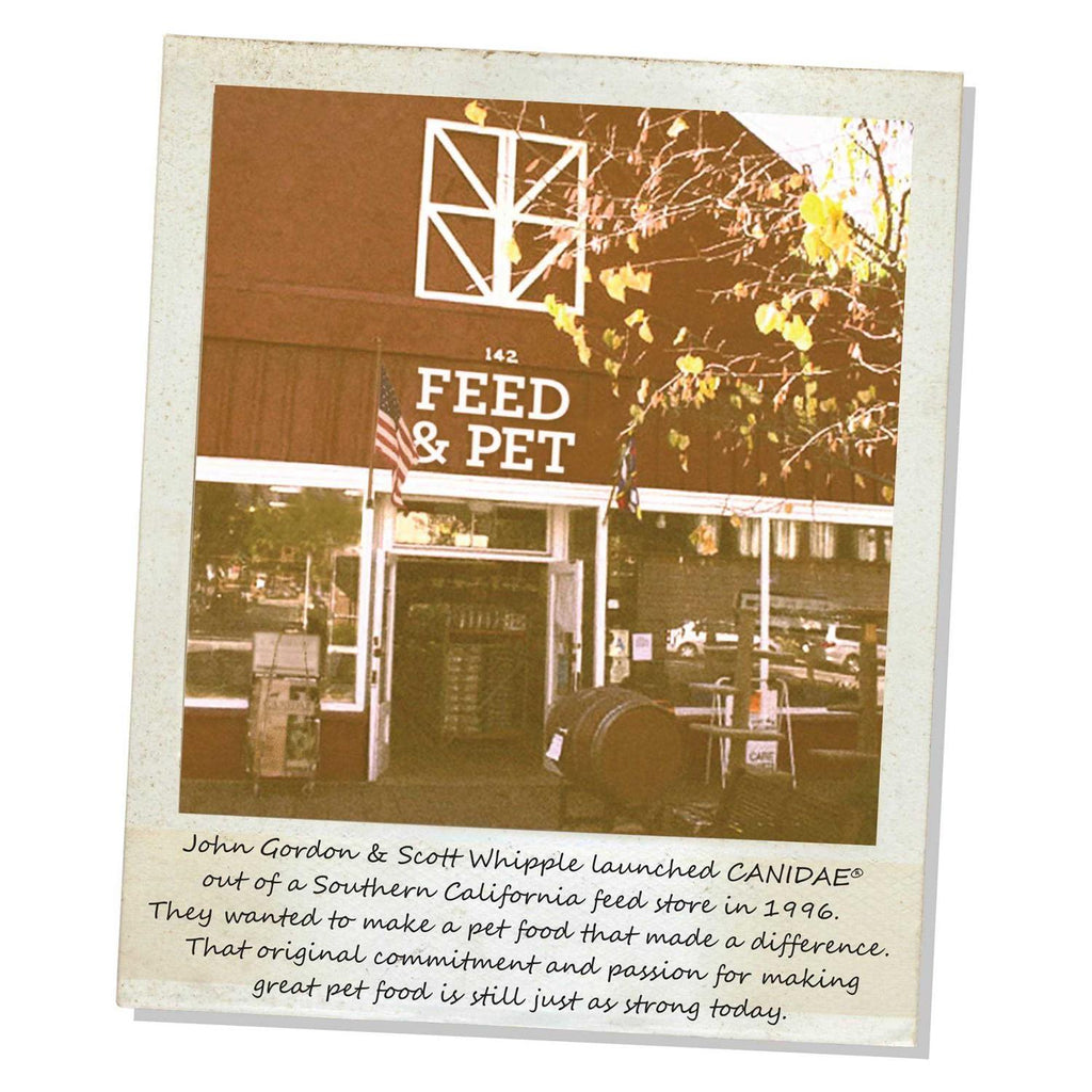 Grain-Free Salmon & Sweet Potato Recipe Dry Dog Food X9240
