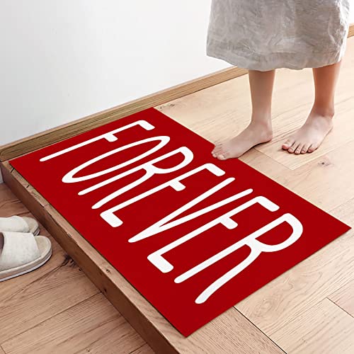 Low Profile Non Slip Entrance Door Mat 20x31.5inch H59771