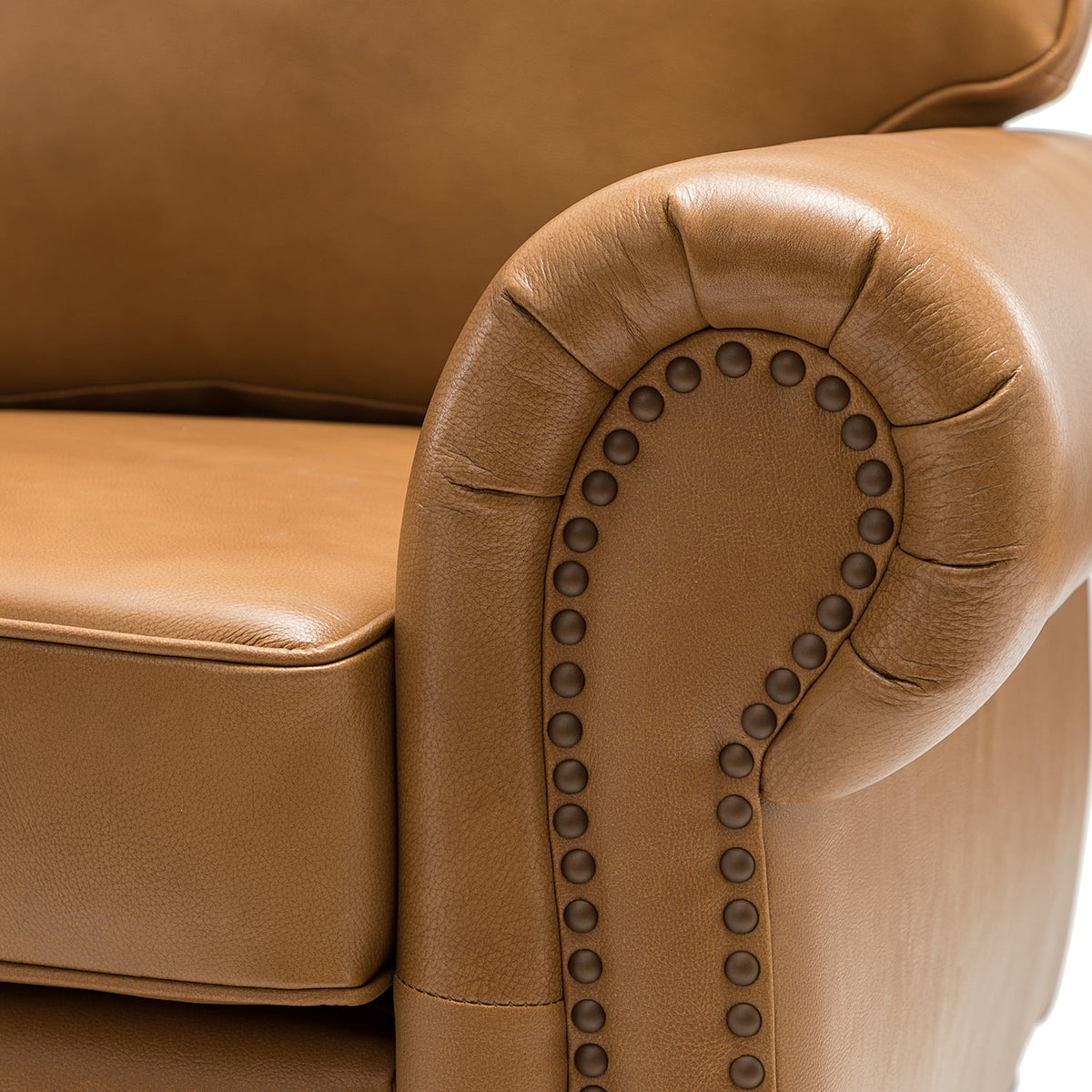 Transitional Sofa with Removable Cushions and Nailhead Trim Z21418