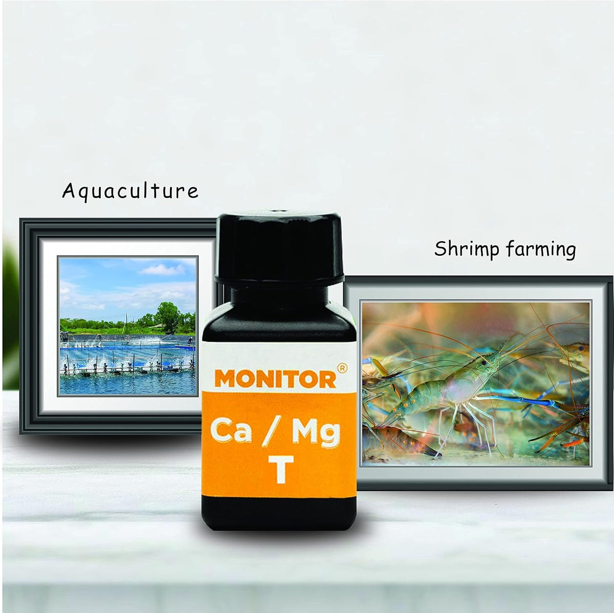 Monitor Calcium/Magnesium Low Salinity (0-5 PPT) Test KIT (120 Tests) Q661094