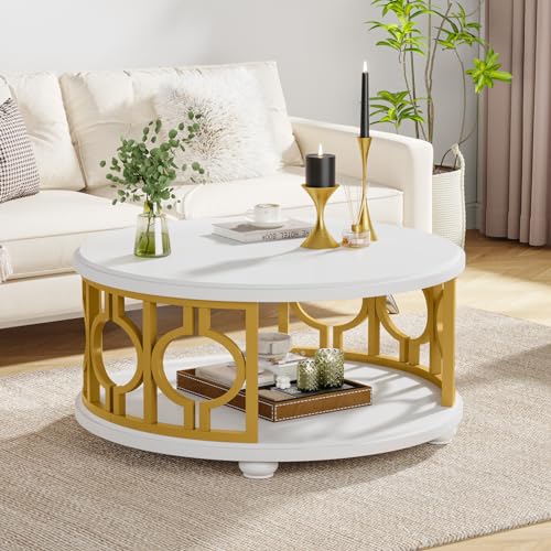 2-Tier Round Coffee Table with Storage Shelf M553815