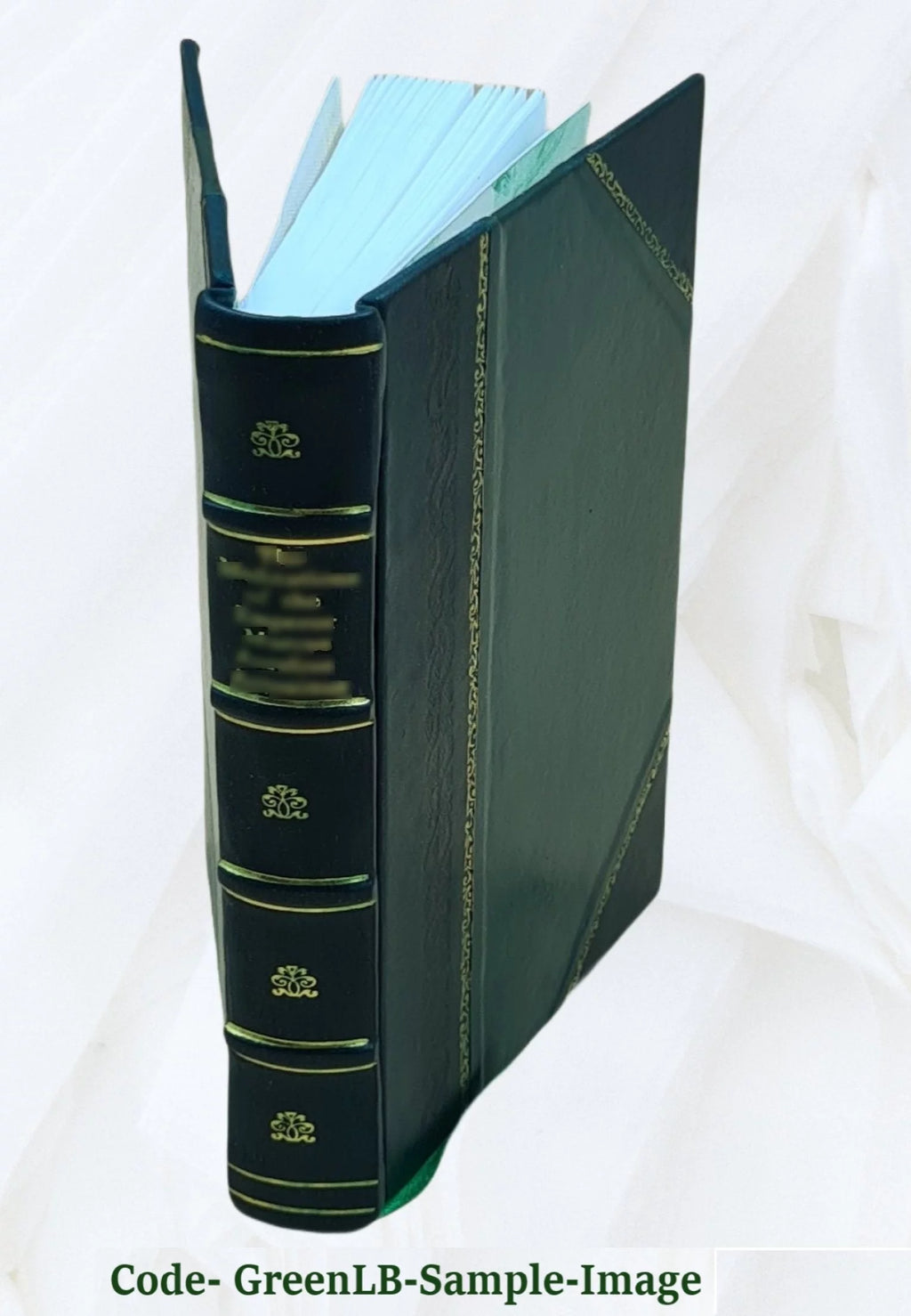 Household Management Guide Leather Bound U440227