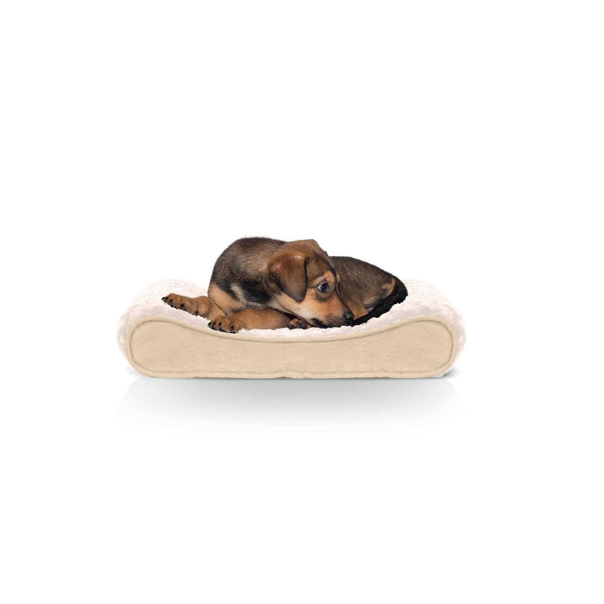 Plush Luxe Lounger Dog Bed W720334