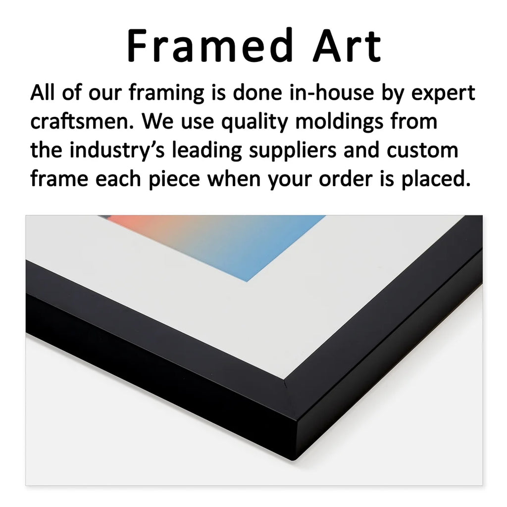 Framed Print B443