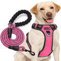 Adjustable Reflective Oxford Dog Harness with 5ft Dog Leash V919