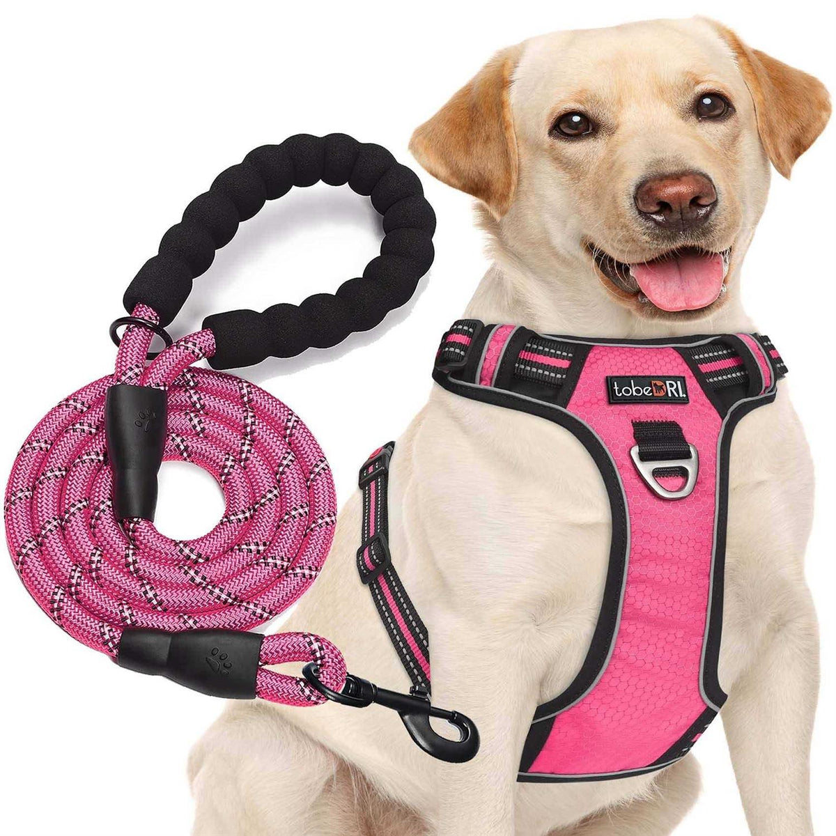 Adjustable Reflective Oxford Dog Harness with 5ft Dog Leash V919