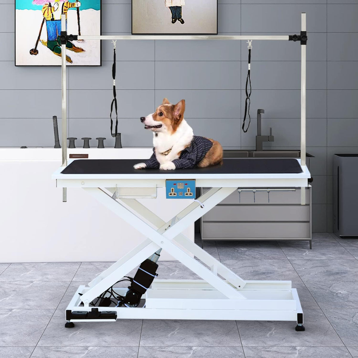 49.6" Electric Lift Pet Dog Grooming Table with Overhead Arm R614