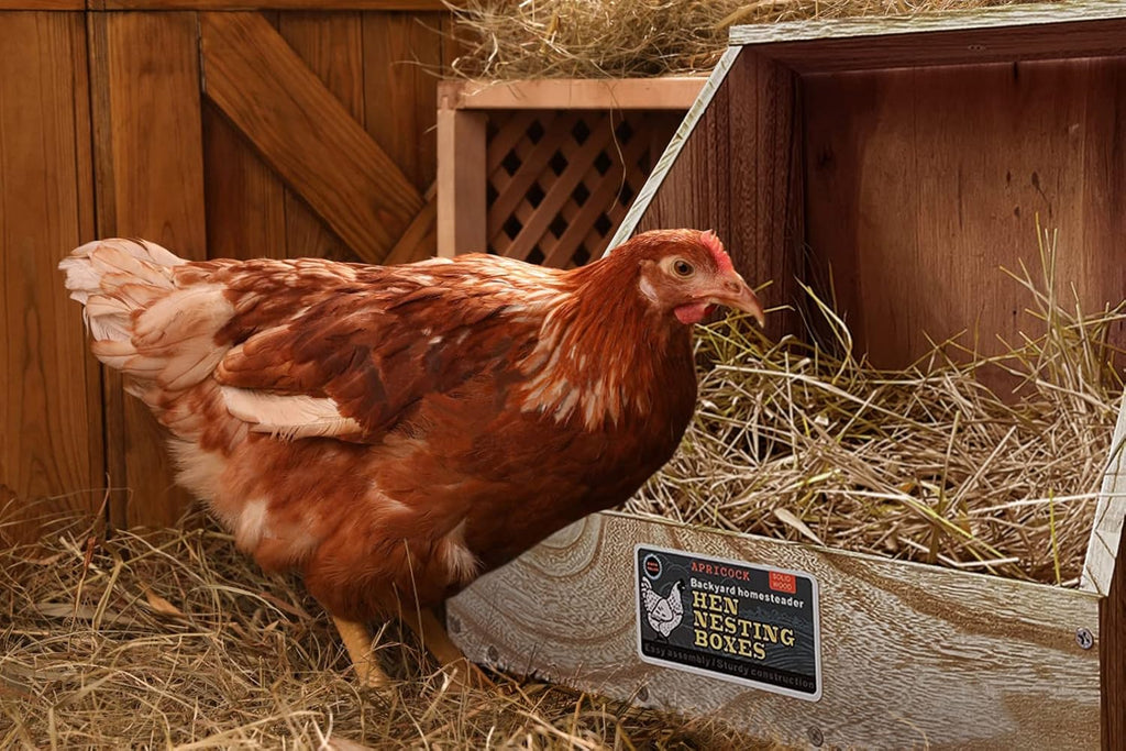 Single Compartment Wood Nesting Box (1 Pack) W5260