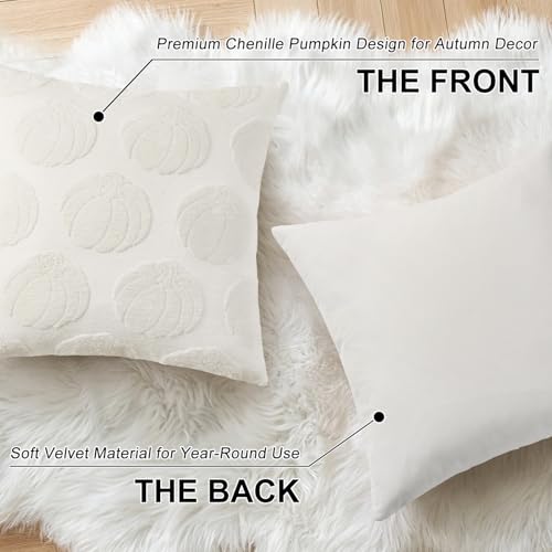 Christmas Chenille Soft Throw Pillow Covers 18x18 Set of 2 H311