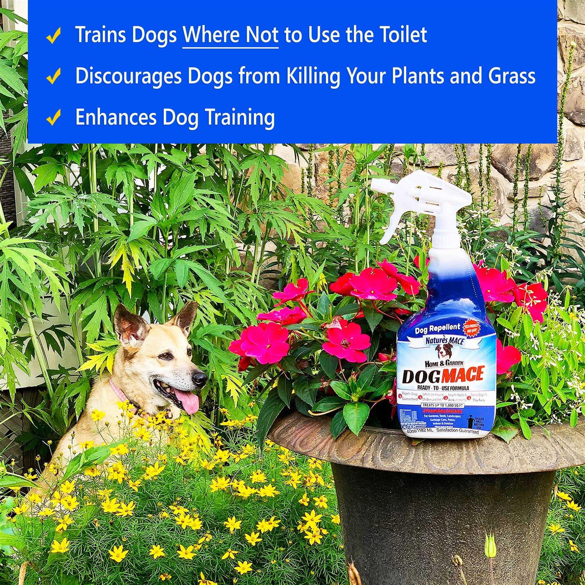 Dog Mace 40oz Concentrate G880