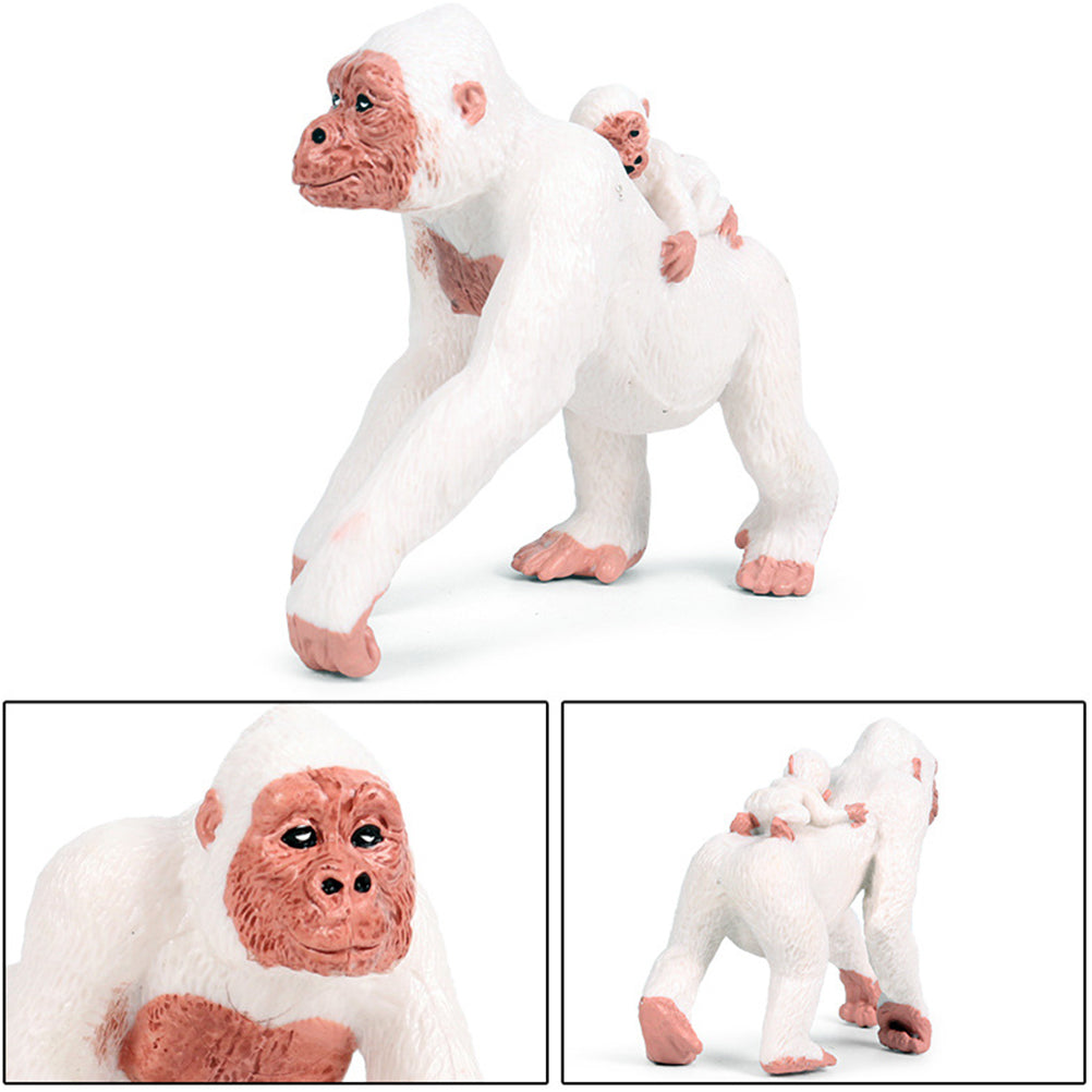 Fake Monkey Toy Educational Model Plaything Ornaments for Kid D197734