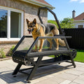 Slatmill for Dogs with Adjustable Resistance, Disc Brake & Pedometer, 300 lbs Heavy Duty G4992