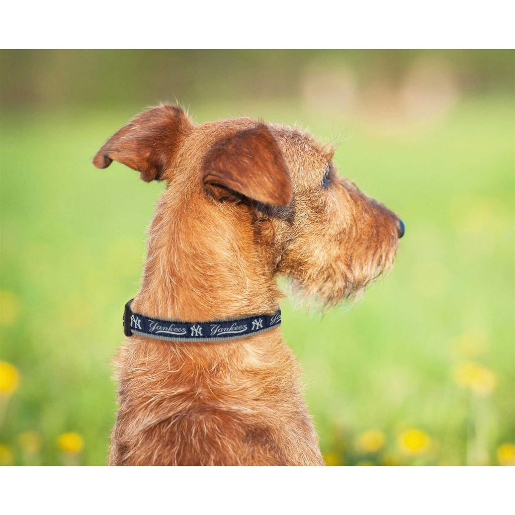 Dog Collar F392