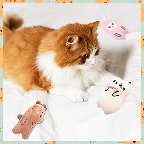 10 Pcs Christmas Catnip Plush Cat Toys T176