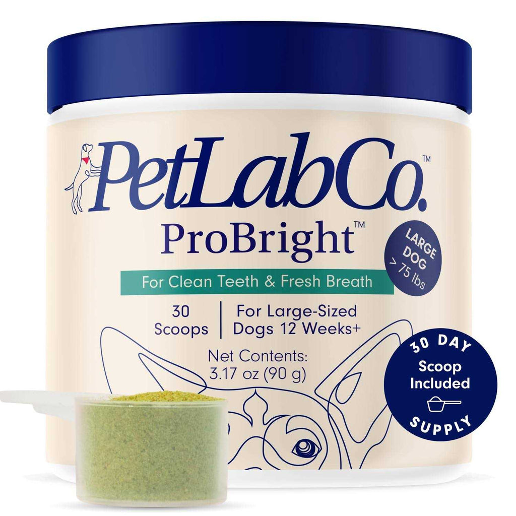 ProBright Dog Dental Powder W987763