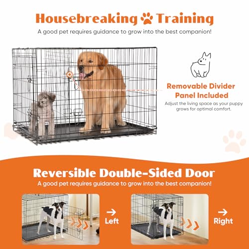 Large 36 Inch Double Door Folding Metal Wire Dog Crate with Divider Panel and Plastic Leak-Proof Pan Tray T8697