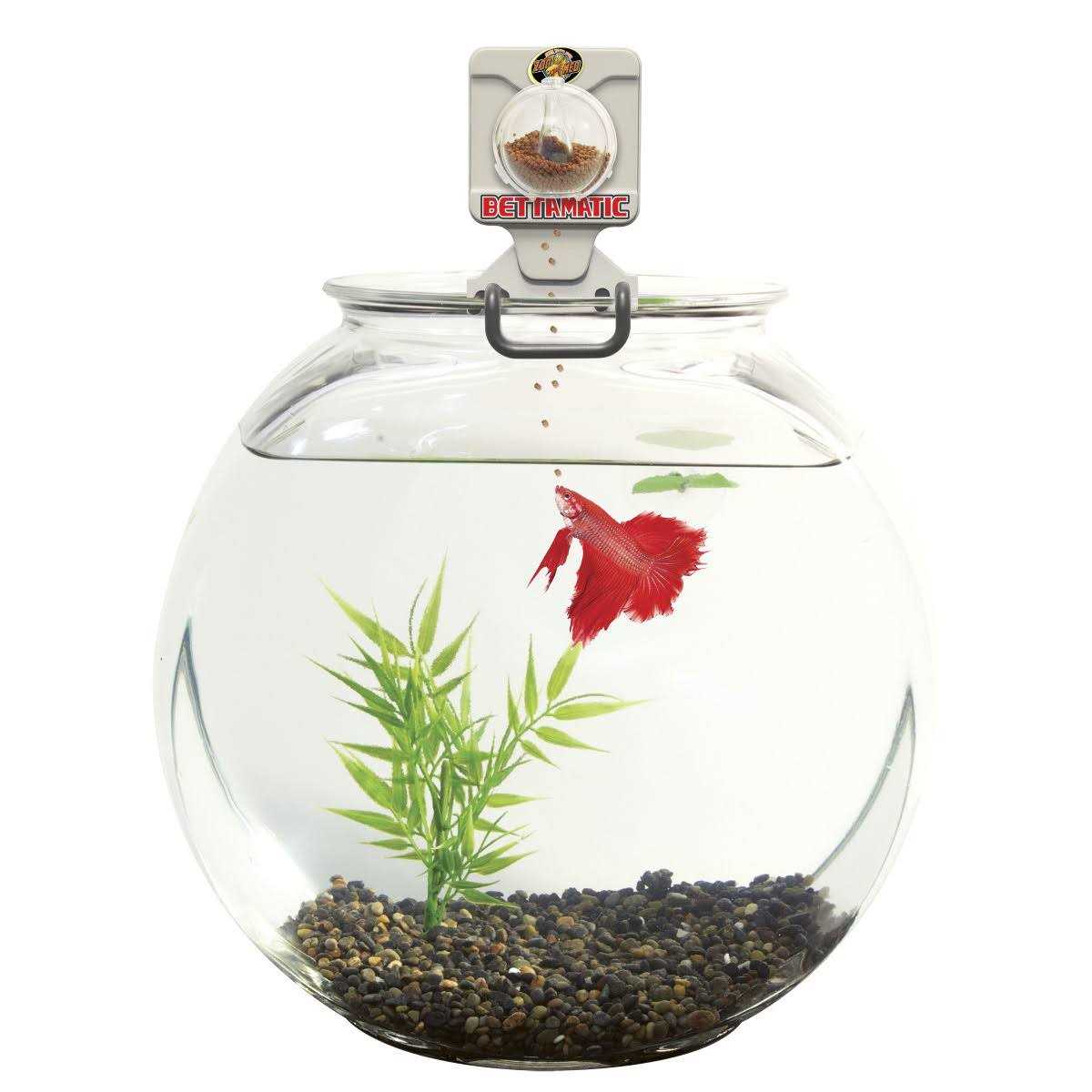 Automatic Daily Betta Feeder B9027