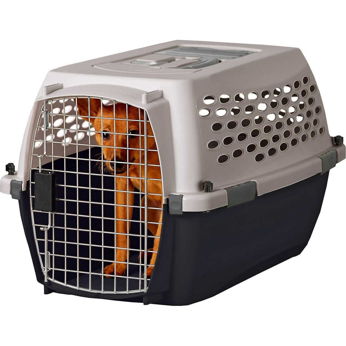 Pet Kennel I290