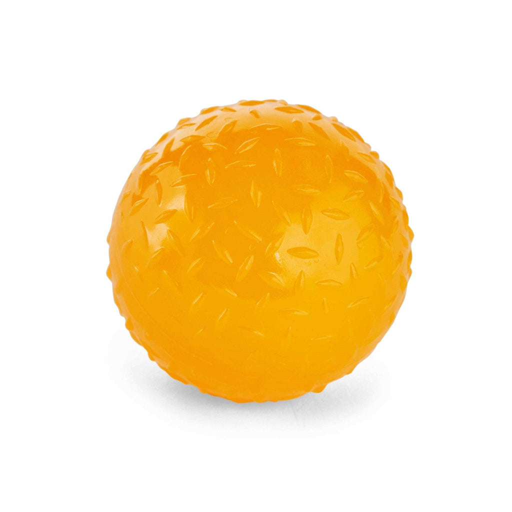 Glow-in-The-Dark Bouncy Ball Dog Toy Z20094