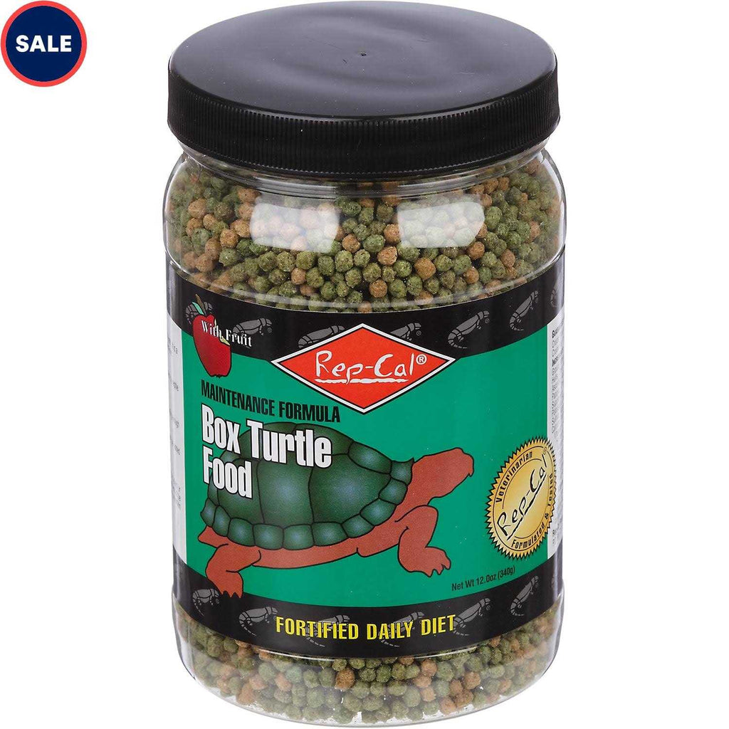 Box Turtle Food C56583