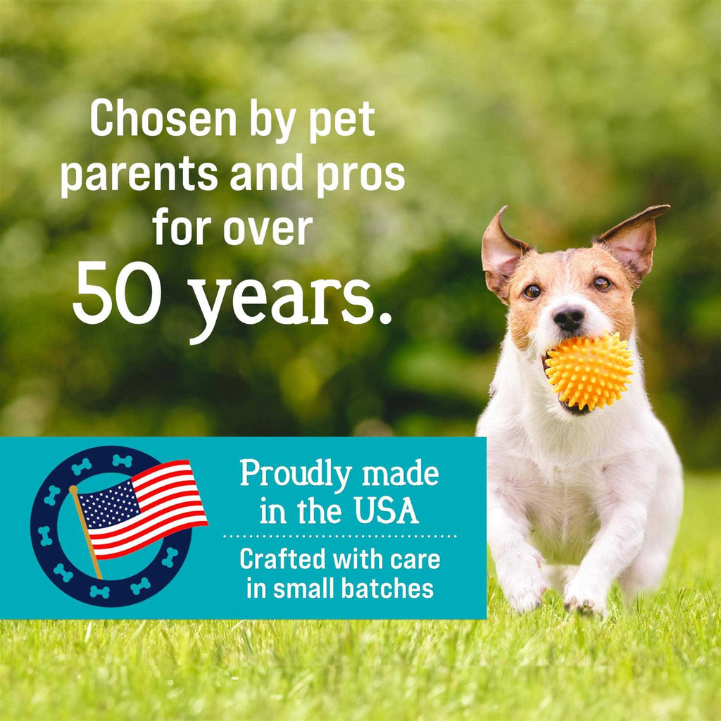 Salmon Freeze-Dried Dog Treats Z5003