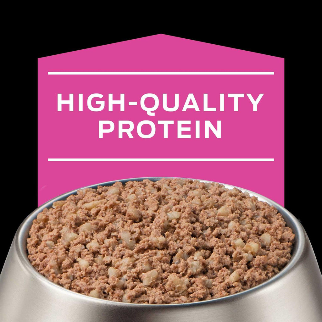 Wet Dog Food X8601