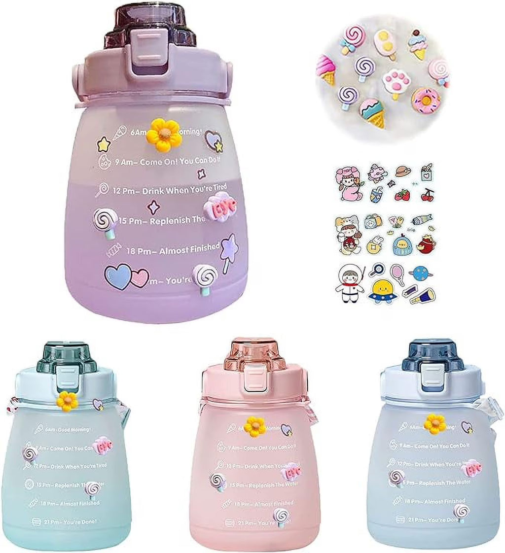 Purple Big Belly Water Bottle with Straw Z63047