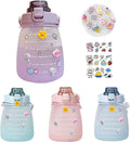 Purple Big Belly Water Bottle with Straw Z63047