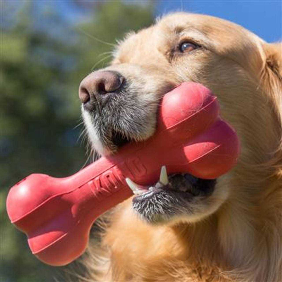 Dog Toy M86860