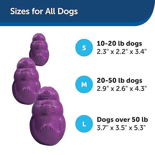 Squirrel Dude Dog Toy B331