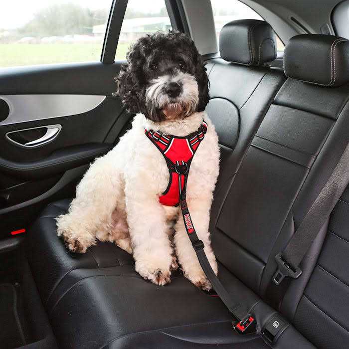 Seat Belt Tether P820