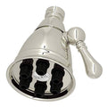 Polished Nickel Adjustable Showerhead I307