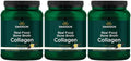 Vanilla Bone Broth Collagen Powder 3 Pack Y679