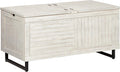 Storage Trunk or Coffee Table D416104