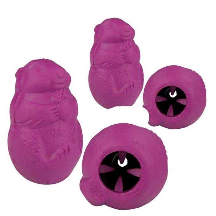 Squirrel Dude Dog Toy B331