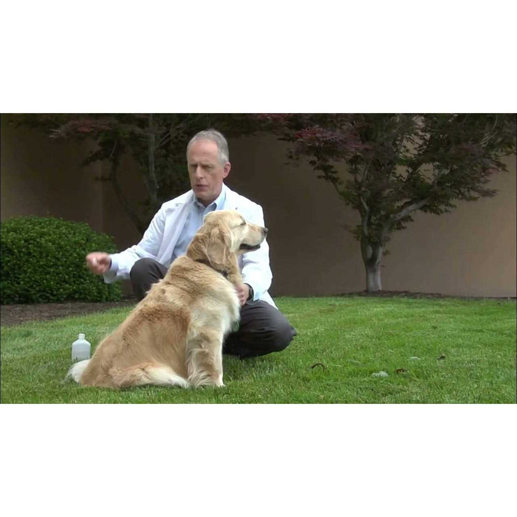Canine Spectra 9 Dog Vaccine W9580