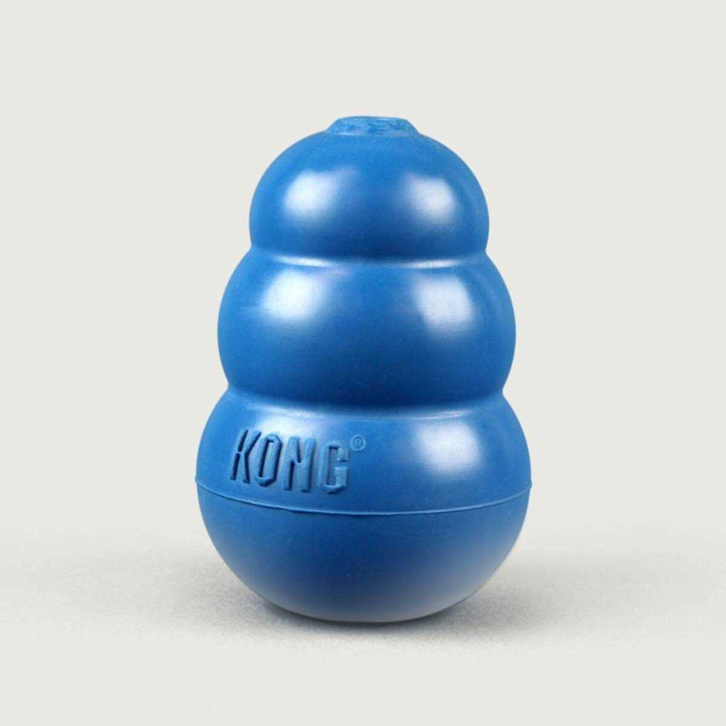 Blue Dog Toy Q90846